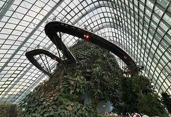 新加坡滨海湾花园第 146 张图片