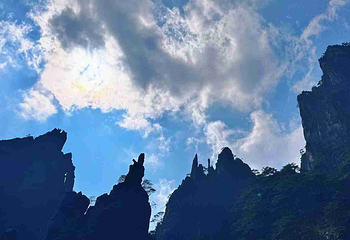 黄山风景区第 445 张图片