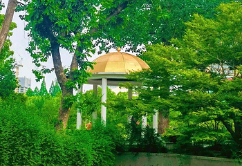 复兴公园第 47 张图片