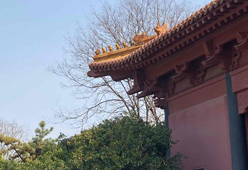 南京明故宫遗址公园第 64 张图片