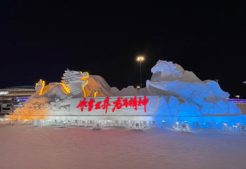 哈尔滨冰雪大世界第 391 张图片