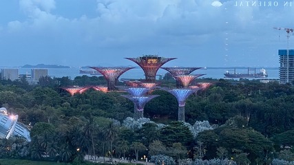 新加坡摩天观景轮第 61 张图片