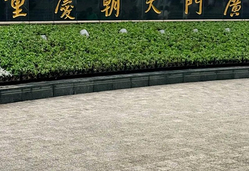 朝天门广场第 131 张图片