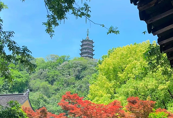 焦山第 48 张图片