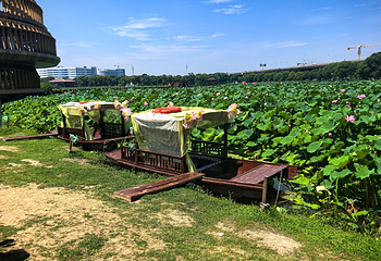 荷塘月色湿地公园第 36 张图片