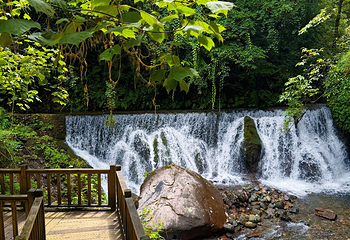 花水湾温泉度假区第 32 张图片