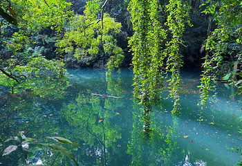 花柏山公园第 53 张图片