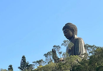 昂坪360第 203 张图片