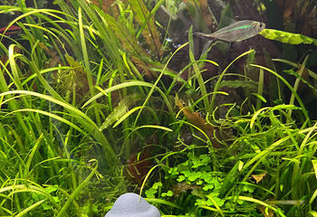 济州岛Aqua Planet水族馆第 81 张图片
