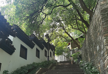 南宋御街第 153 张图片