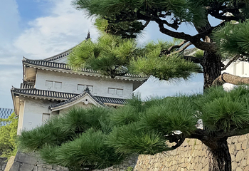 大阪城公园第 130 张图片