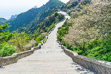 泰山风景区第 44 张图片