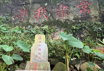 庐山风景名胜区第 301 张图片