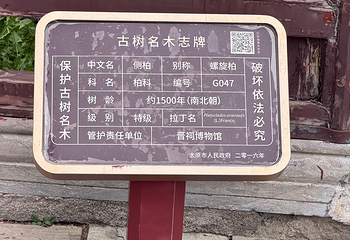 晋祠博物馆第 479 张图片