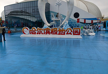 哈尔滨极地公园第 115 张图片