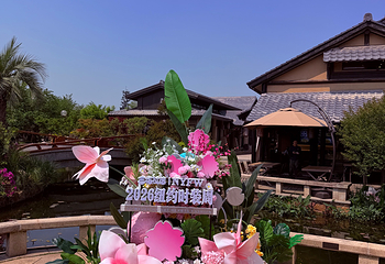 禅意小镇·拈花湾第 249 张图片