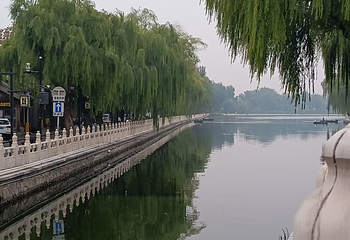 什刹海风景区第 377 张图片