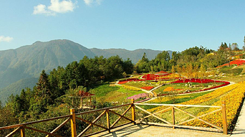 贝壳山森林公园