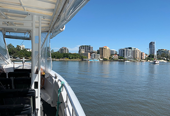 Koala and River Cruises第 6 张图片