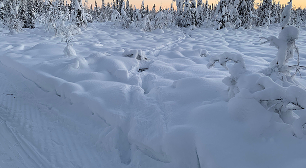 克里默斯国家迁徙水鸟保护区
