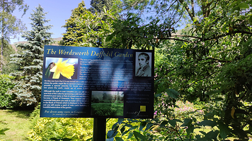 Wordsworth Daffodil Garden
