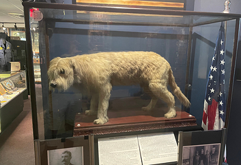Greater Cincinnati Police Museum第 10 张图片