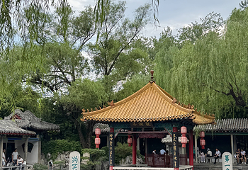 趵突泉景区第 185 张图片