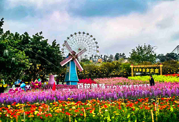 音乐百花谷第 34 张图片