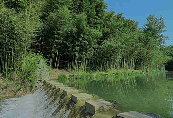 鲸鱼沟竹海风景区第 42 张图片