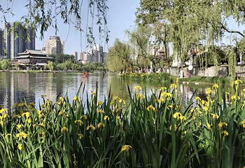 兴庆宫公园第 138 张图片