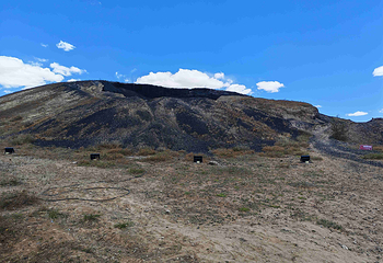 乌兰哈达火山地质公园第 90 张图片