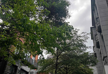 永庆坊第 53 张图片