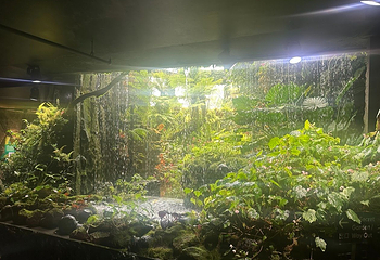 新加坡滨海湾花园第 255 张图片
