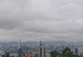 太平山顶第 263 张图片