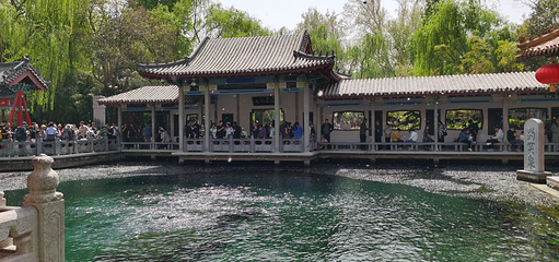 趵突泉景区第 136 张图片