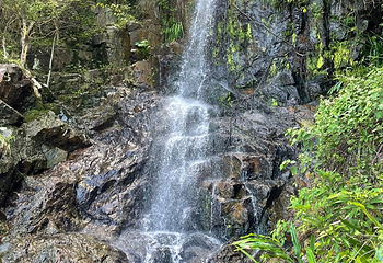 太平山顶第 210 张图片