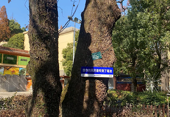 楚天瑶池温泉度假村第 20 张图片