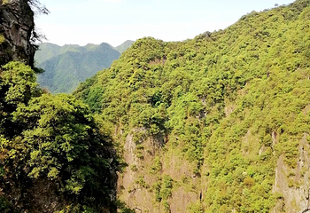 牛头山国家森林公园第 31 张图片