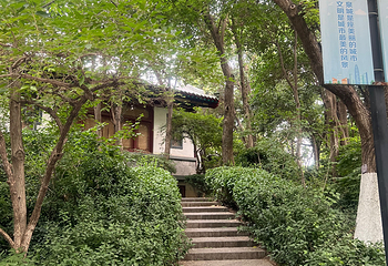 趵突泉景区第 222 张图片