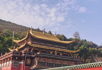 塔尔寺第 108 张图片