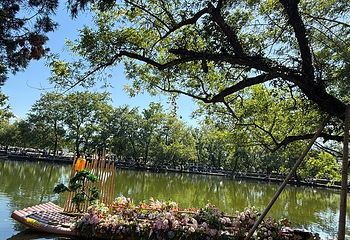 宏村景区第 613 张图片