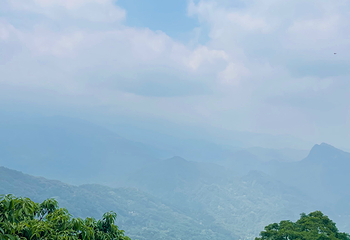 青城山第 287 张图片