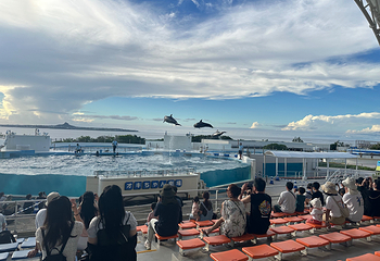 冲绳美丽海水族馆第 84 张图片