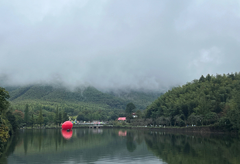 宜兴竹海风景区第 44 张图片