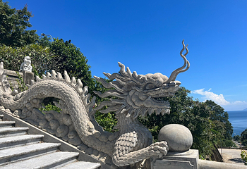 山茶半岛第 10 张图片