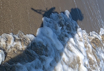 El Pescador State Beach第 11 张图片