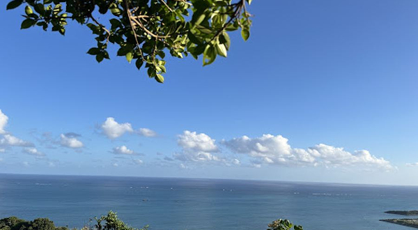 くるくまキャンプサイト