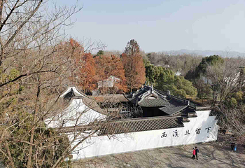 西溪国家湿地公园第 187 张图片