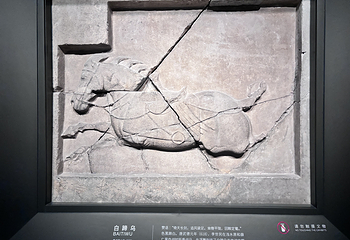 西安碑林博物馆第 32 张图片