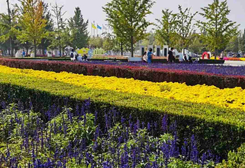北京国际鲜花港第 37 张图片